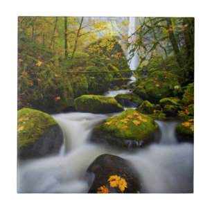 McCord Creek Bigleaf-Ahorn Columbia Gorge, OR Fliese