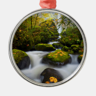 McCord-Creek-Bigleaf-Ahorn Columbia - Schlucht, O Silbernes Ornament