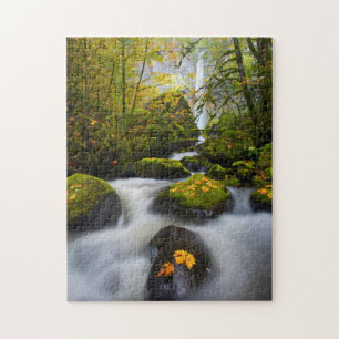McCord Creek Großblättriger Ahorn Columbia Gorge Puzzle