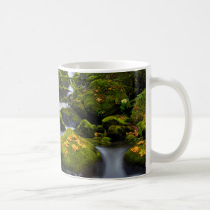 McCord Creek Großblättriger Ahorn Columbia Gorge Tasse