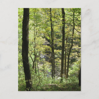 McCormicks Creek-Postkarte Postkarte