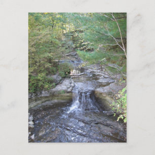 McCormicks Creek-Wasserfall-Postkarte Postkarte