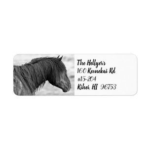 McCullough Peaks Wild Horse-Adresse