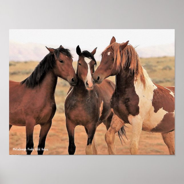 McCullough Peaks Wild Horses Poster (Vorne)