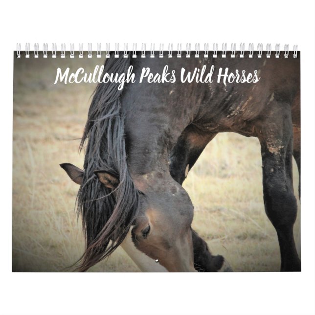 McCullough Peaks Wilde Pferde Kalender (Titelbild)