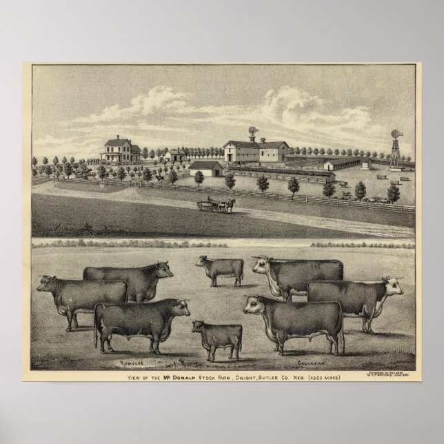 McDonald Farm, Nebraska Poster (Vorne)