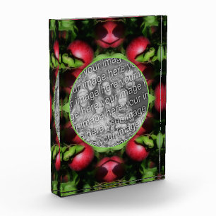 McIntosh Apples Nature Fügen Sie Ihre eigenen hinz Fotoblock