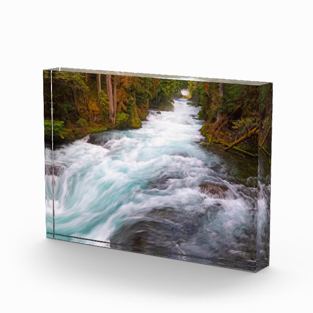 McKenzie River | Oregon Fotoblock (Rechts)
