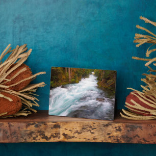 McKenzie River   Oregon Fotoplatte