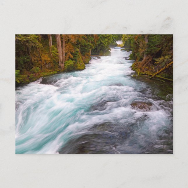 McKenzie River | Oregon Postkarte (Vorderseite)