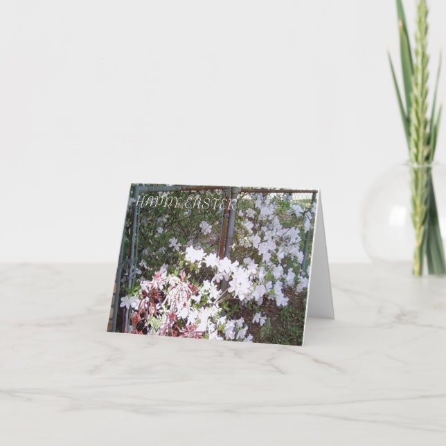 MClairArt's Fotos N Art Osternotecards Feiertagskarte (Vorderseite)