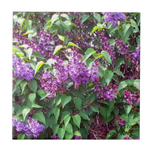 MClairArts PhotosNArt Fliese