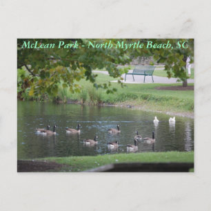 McLean Park - North Myrtle Beach, South Carolina Postkarte