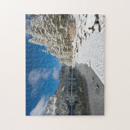 Mcleod Lake Mammoth Seen Puzzle