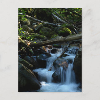 McPhee Creek, Castlegar, British Columbia Postkarte