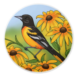 MD Staat Bird Oriole & Black-mit Augen Susan Blume Keramikknauf