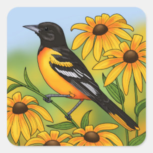 MD Staat Bird Oriole & Black-mit Augen Susan Blume Quadratischer Aufkleber