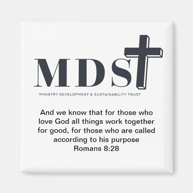 MDST 2 MAGNET (Vorne)