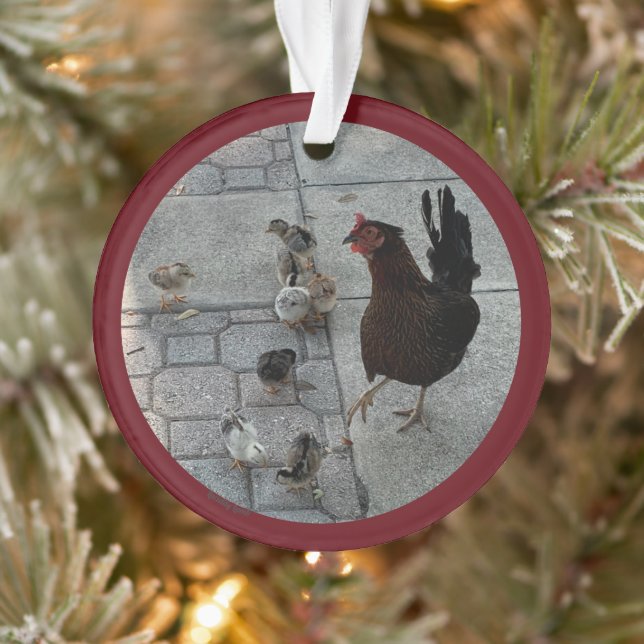 "Me and all the Chicks" Akryllische Weihnachtsschm Ornament (Baum)