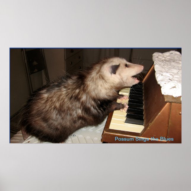 ME Pearl Possum Poster (Vorne)