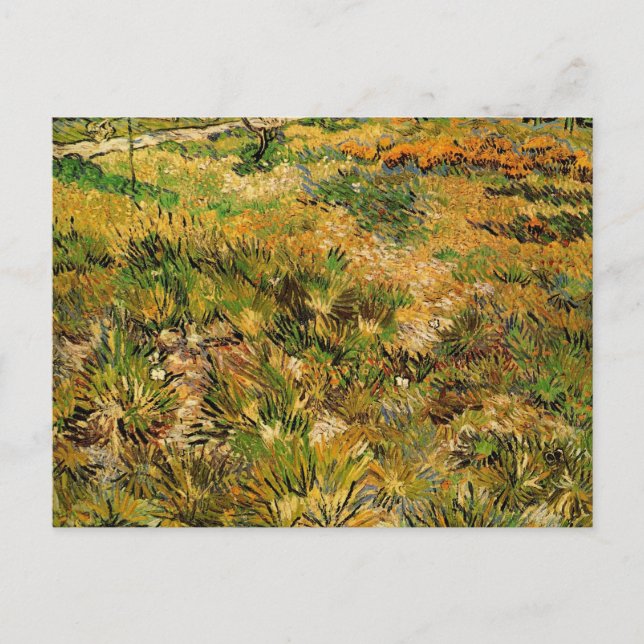 Meadow at Saint Paul Hospital by Vincent van Gogh Postkarte (Vorderseite)