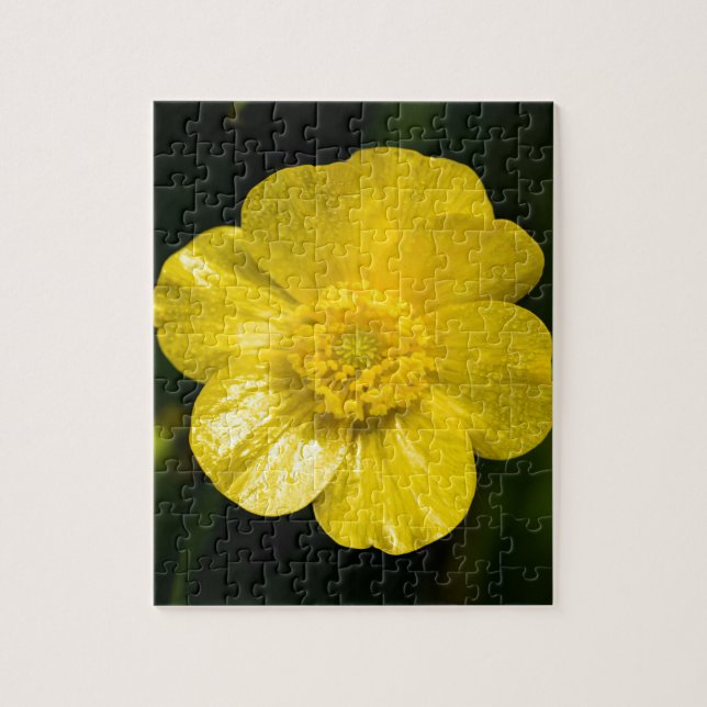 Meadow Buttercup Puzzle (Vertikal)