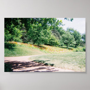 Meadow Poster
