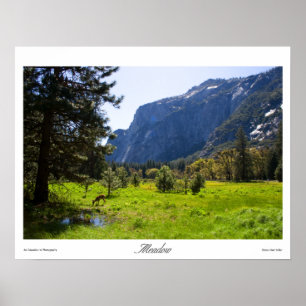 Meadow Prints Poster