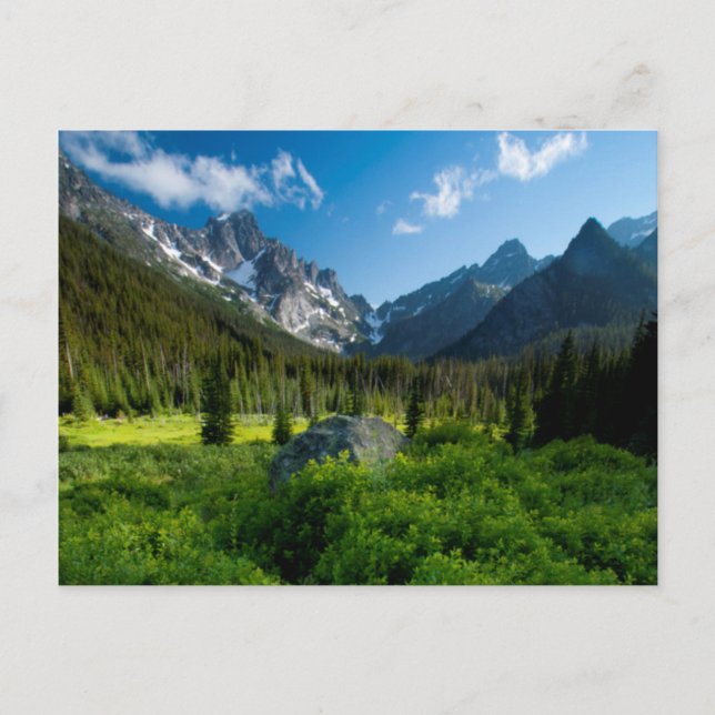 Meadow und Mt. Stuart Postkarte (Vorderseite)