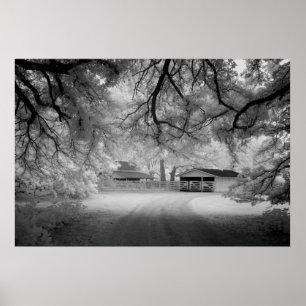 Meadowbank-Farm Poster