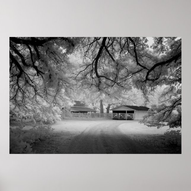 Meadowbank-Farm Poster (Vorne)