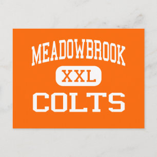 Meadowbrook - Colts - High School - Byesville Ohio Postkarte
