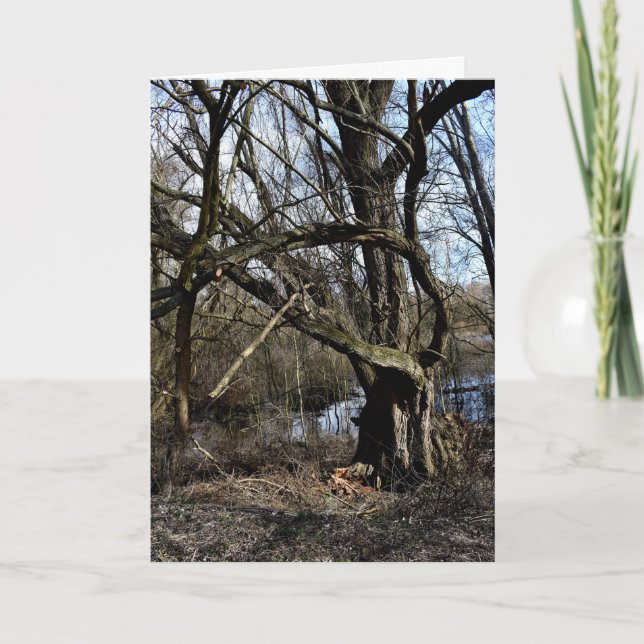 Meadowiner Karte (Vorderseite)