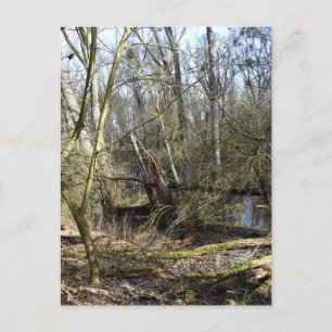 Meadowiner Postkarte