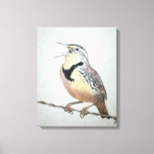 Meadowlark Leinwanddruck