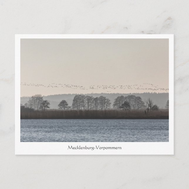 Mecklenburg-Vorpommern Postkarte (Vorderseite)