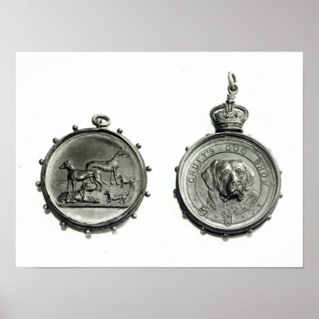 Medaillen aus Cruft's Dog Show, c.1910 Poster (Vorne)