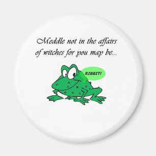 Meddle nicht in die Angelegenheiten der Hexen Magnet