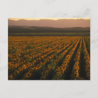 MeddockFoto_PostCard_Art Postkarte