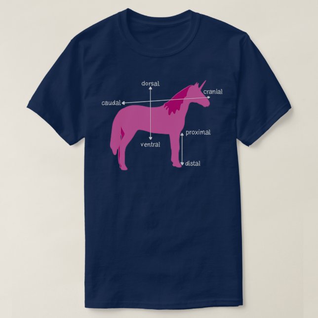 Medical Dimensions Explained On A Unicorn T-Shirt (Design vorne)