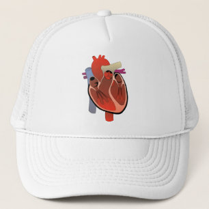 MEDICAL DRAWING OF ANATOMICAL HEART TRUCKERKAPPE