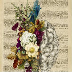 medical floral brain anatomy poster freistehende fotoskulptur