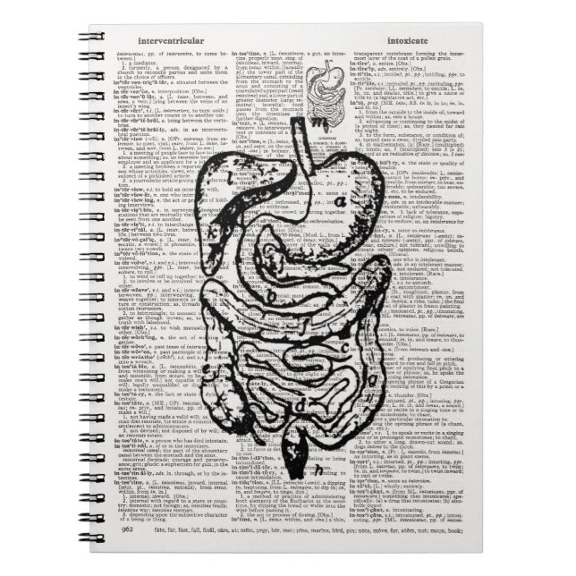 Medical Illustration Dictionary Art Notizblock (Vorderseite)