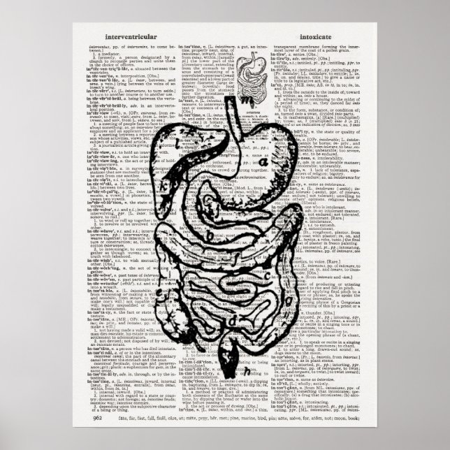Medical Illustration Dictionary Art Poster (Vorne)