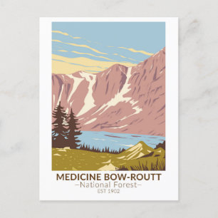 Medicine Bow - Routt National Forest Vintage auf D Postkarte