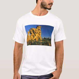 Medicine Rocks State Park bei Ekalaka Montana T-Shirt