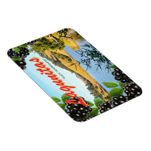 "Meditation bei Lagunitas" Postkarte-Inspirierter Magnet