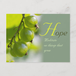 Meditation über Dinge, die wachsen CC0330 Postkarte