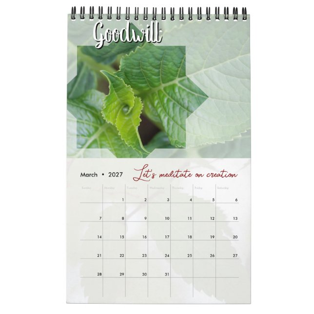 Meditationskalender Garten: Stern & Wort Kalender (Mär 2027)