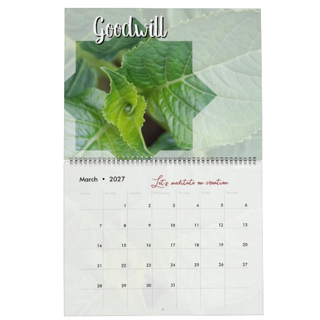 Meditationskalender Garten: Stern & Wort Kalender (Mär 2027)
